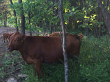 Farm-Share Bundle