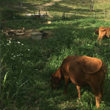 Farm-Share Bundle